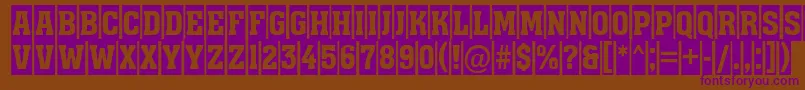 Assuan9 Font – Purple Fonts on Brown Background