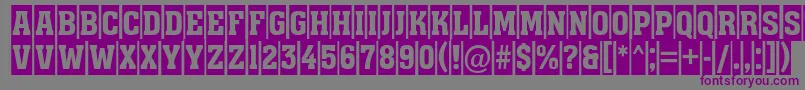 Assuan9 Font – Purple Fonts on Gray Background