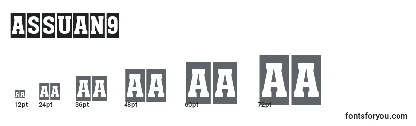 Assuan9 Font Sizes