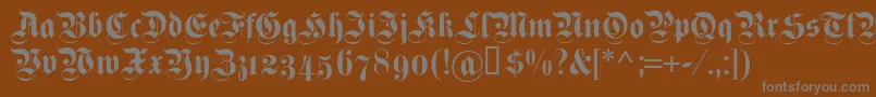 Dsfettekanzleiosf Font – Gray Fonts on Brown Background