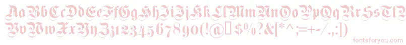 Dsfettekanzleiosf Font – Pink Fonts on White Background