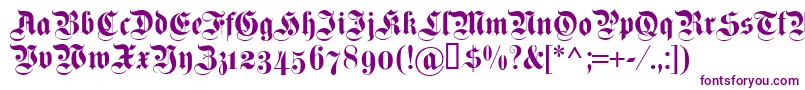 Dsfettekanzleiosf Font – Purple Fonts on White Background