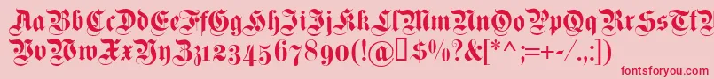 Dsfettekanzleiosf Font – Red Fonts on Pink Background