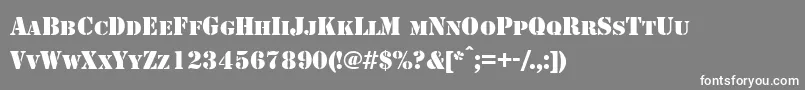 StencilNormal Font – White Fonts on Gray Background