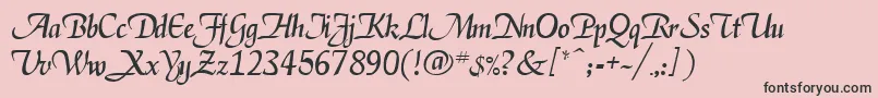 Deloise Font – Black Fonts on Pink Background