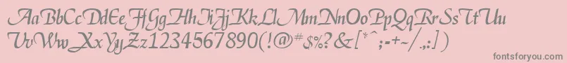 Deloise Font – Gray Fonts on Pink Background