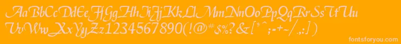 Deloise Font – Pink Fonts on Orange Background