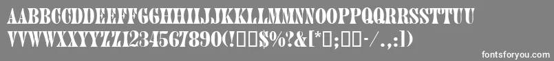 JuniordbNormal Font – White Fonts on Gray Background