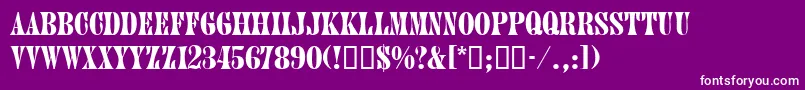 JuniordbNormal Font – White Fonts on Purple Background