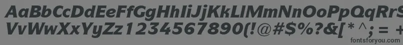 フォントItcsymbolstdBlackitalic – 黒い文字の灰色の背景