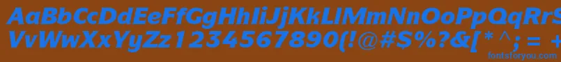 ItcsymbolstdBlackitalic Font – Blue Fonts on Brown Background