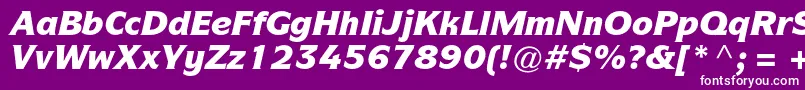 ItcsymbolstdBlackitalic Font – White Fonts on Purple Background