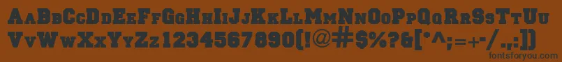 PrincipalsolidRegular Font – Black Fonts on Brown Background