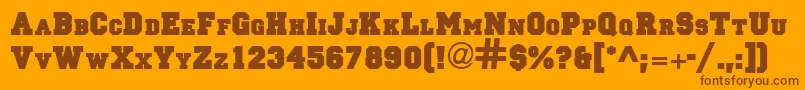 PrincipalsolidRegular Font – Brown Fonts on Orange Background