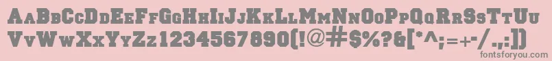 PrincipalsolidRegular Font – Gray Fonts on Pink Background