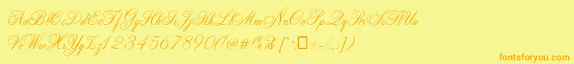 fuente Zenith – Fuentes Naranjas Sobre Fondo Amarillo