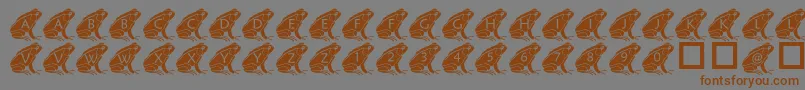 PfFrog2 Font – Brown Fonts on Gray Background