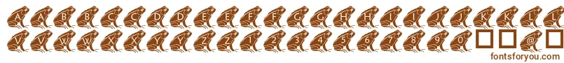 Шрифт PfFrog2 – коричневые шрифты на белом фоне