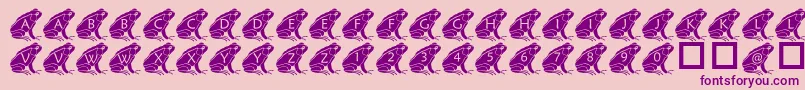 PfFrog2 Font – Purple Fonts on Pink Background