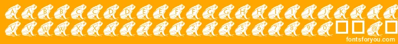 PfFrog2 Font – White Fonts on Orange Background
