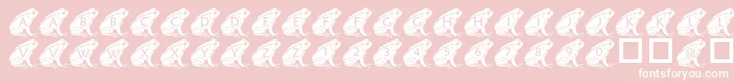 PfFrog2 Font – White Fonts on Pink Background