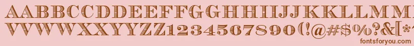Vizit Font – Brown Fonts on Pink Background