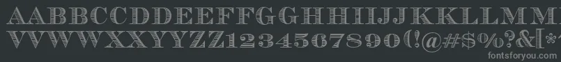 Vizit Font – Gray Fonts on Black Background