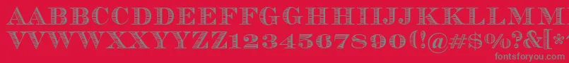 Vizit Font – Gray Fonts on Red Background