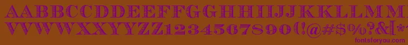 Vizit Font – Purple Fonts on Brown Background