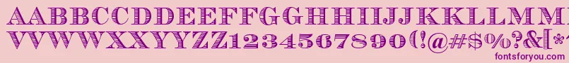 Vizit Font – Purple Fonts on Pink Background