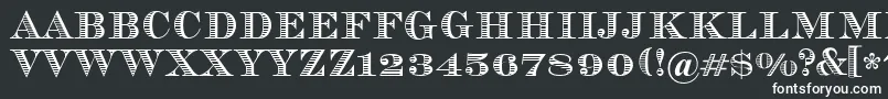 Vizit Font – White Fonts on Black Background