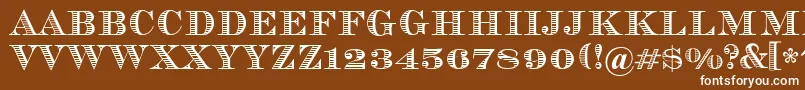 フォントVizit – 茶色の背景に白い文字