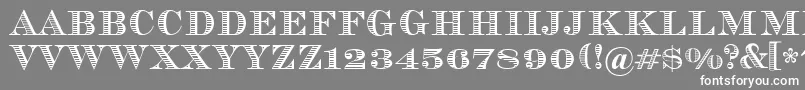 Vizit Font – White Fonts on Gray Background