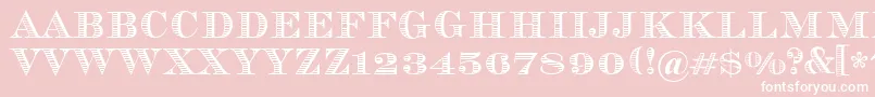 Vizit Font – White Fonts on Pink Background