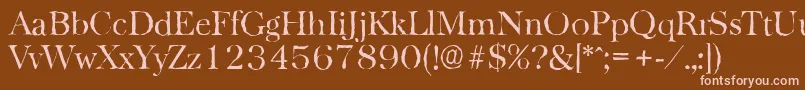 BaskervilleantiqueLightRegular Font – Pink Fonts on Brown Background