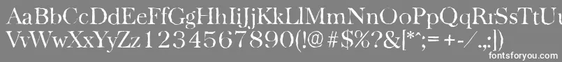 BaskervilleantiqueLightRegular Font – White Fonts on Gray Background