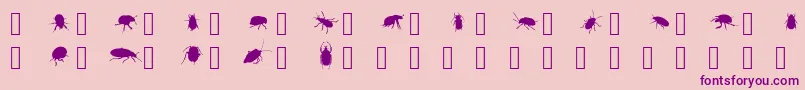 Thebeetles Font – Purple Fonts on Pink Background