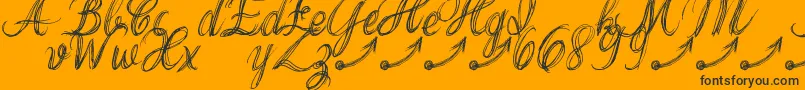 Fonte ThankYouDrfExtraGlyphs – fontes pretas em um fundo laranja