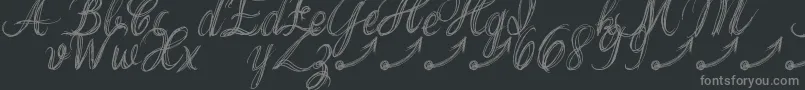 ThankYouDrfExtraGlyphs Font – Gray Fonts on Black Background