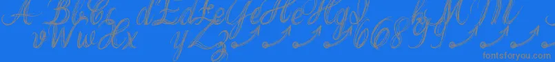 ThankYouDrfExtraGlyphs Font – Gray Fonts on Blue Background