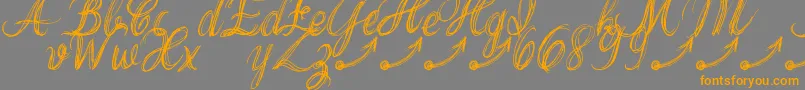 ThankYouDrfExtraGlyphs Font – Orange Fonts on Gray Background