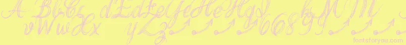 ThankYouDrfExtraGlyphs Font – Pink Fonts on Yellow Background