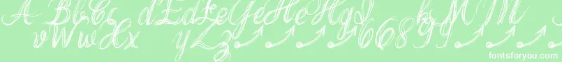 ThankYouDrfExtraGlyphs Font – White Fonts on Green Background