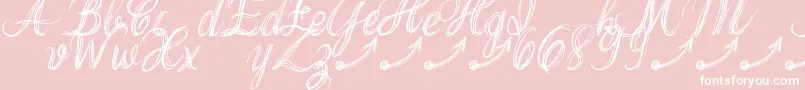 ThankYouDrfExtraGlyphs Font – White Fonts on Pink Background