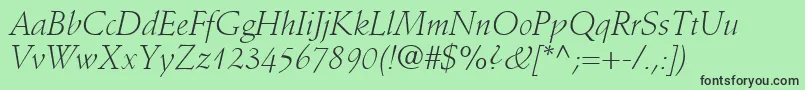 DeutchLightSsiLightItalic Font – Black Fonts on Green Background