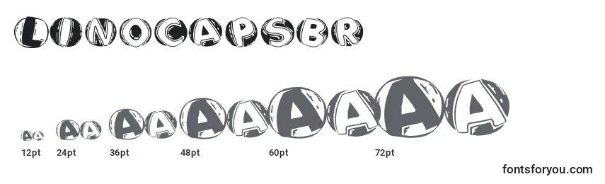 Размеры шрифта Linocapsbr