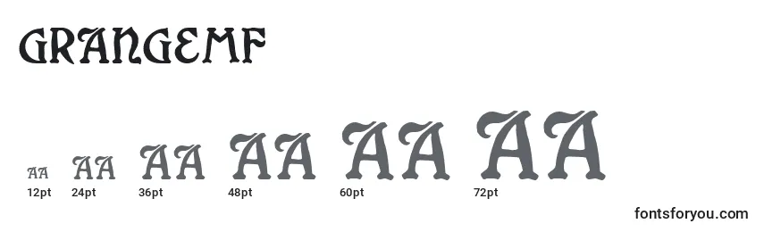 Размеры шрифта GrangeMf
