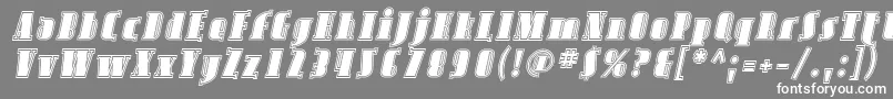 AvondaleInlineItalic Font – White Fonts on Gray Background