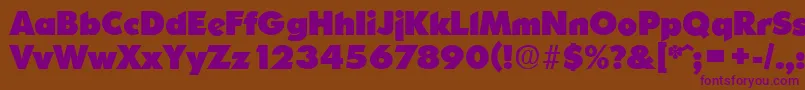 OrnitonsHeavy Font – Purple Fonts on Brown Background