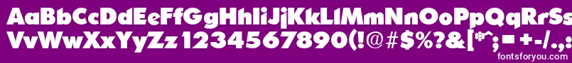 OrnitonsHeavy Font – White Fonts on Purple Background